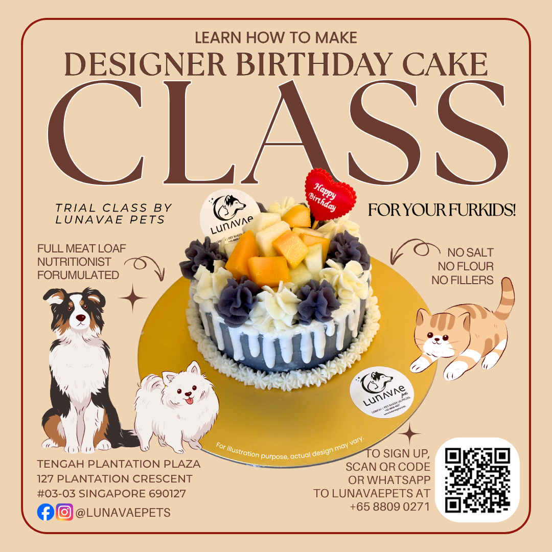 Lunavae Hobbyist Class - Trial Pets Designer Birthday Cake Class