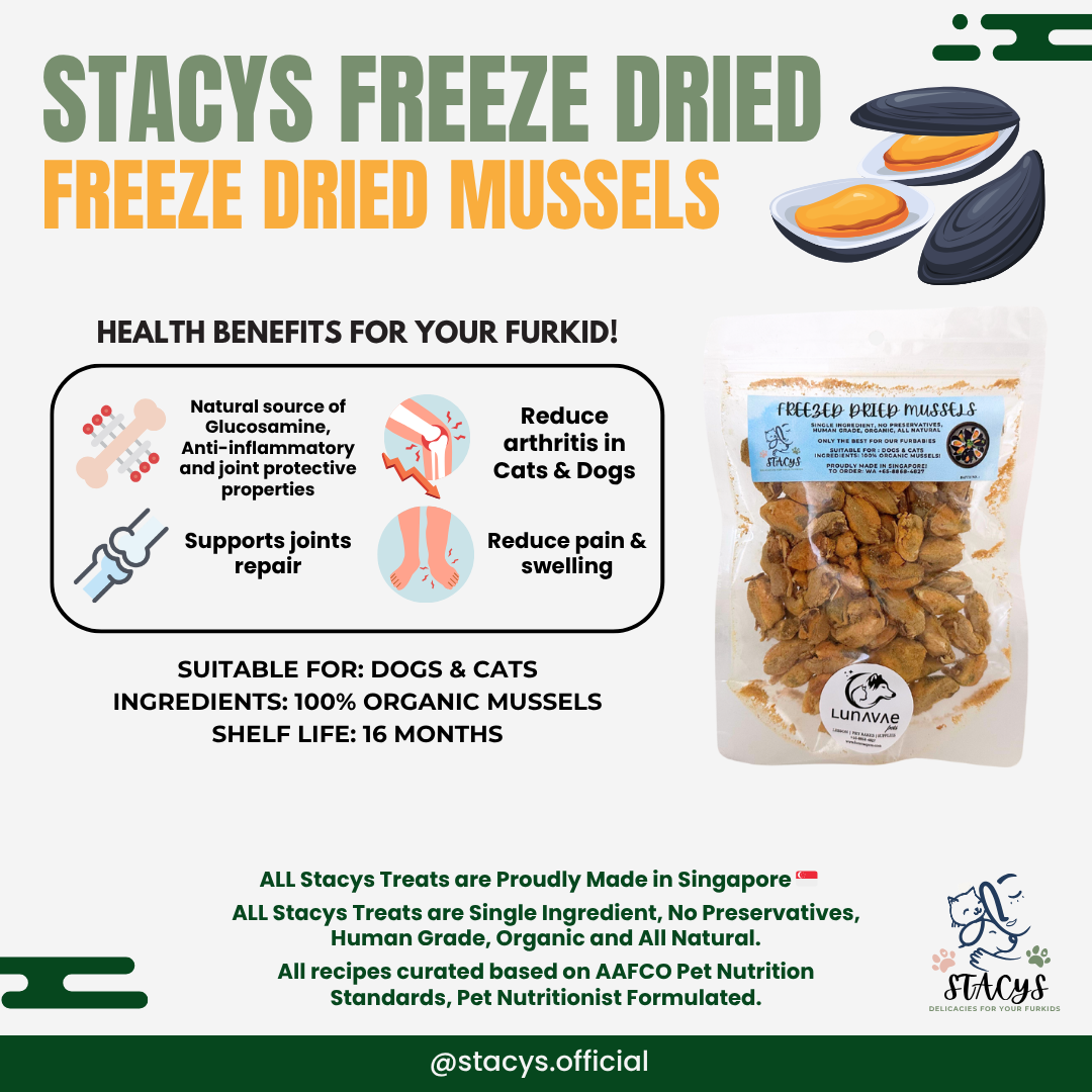 Freeze Dried Mussels