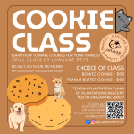 Lunavae Hobbyist Class - Trial Cookie Class